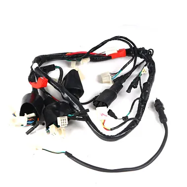 Жгут проводов INTRUDER